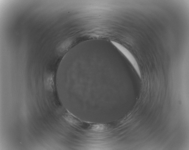 X0000065990127200603242015