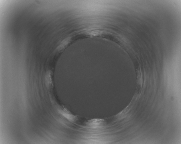 X0000065990128200603242015