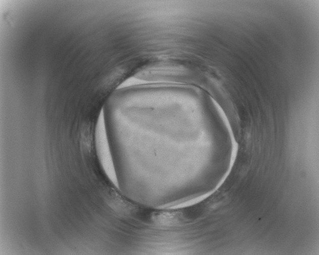 X0000065990129200603242015