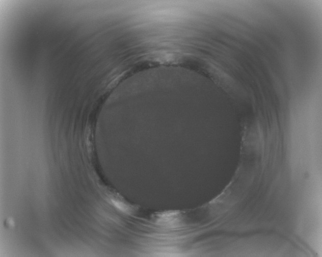 X0000065990132200603242015