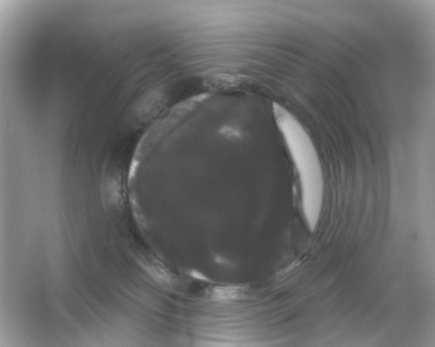 X0000065990134200603242015