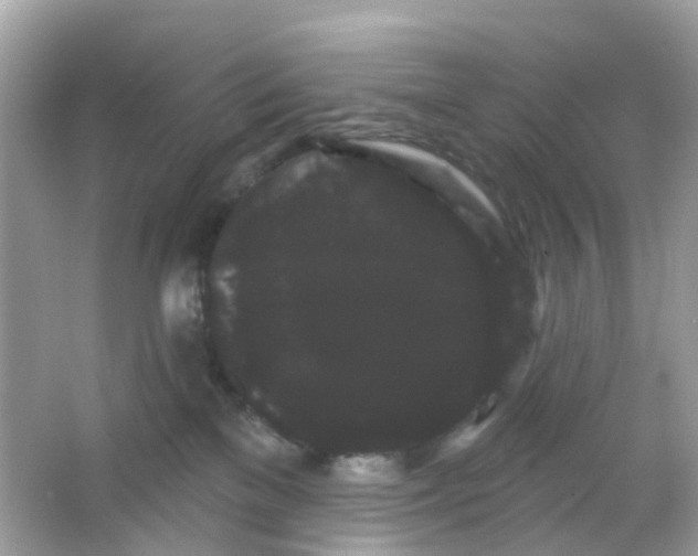 X0000065990137200603242015
