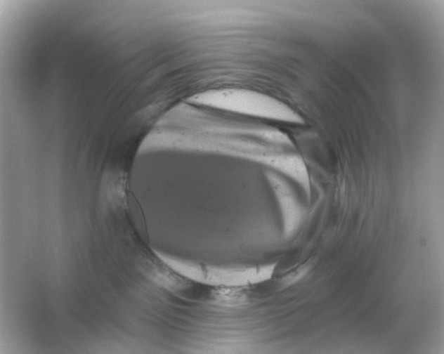 X0000065990141200603242015