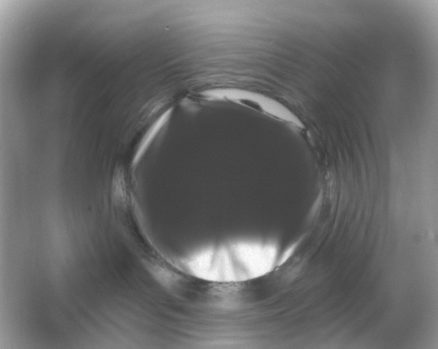 X0000065990143200603242015