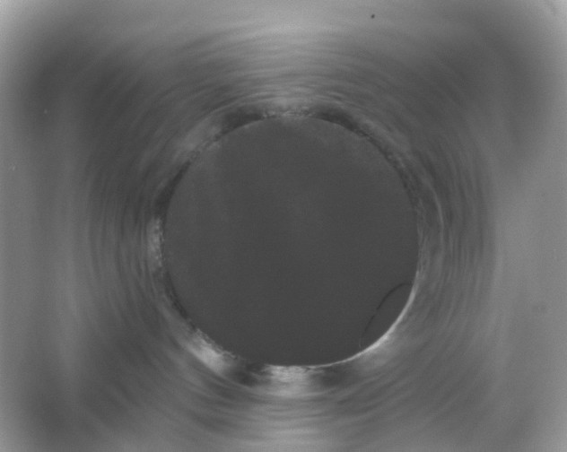 X0000065990144200603242015
