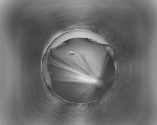 X0000065990148200603242014