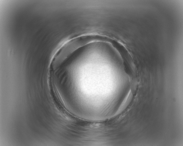 X0000065990152200603242014