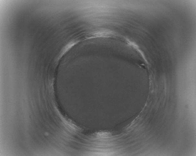 X0000065990154200603242014
