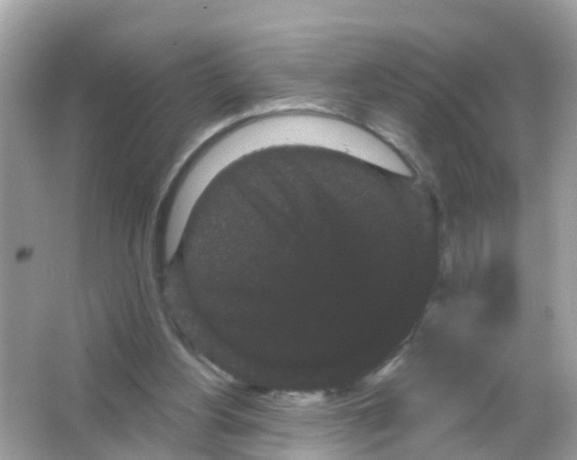 X0000065990156200603242014