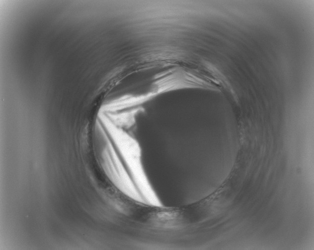X0000065990163200603242014