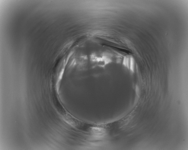 X0000065990167200603242015