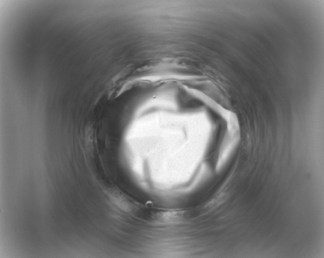 X0000065990184200603242015