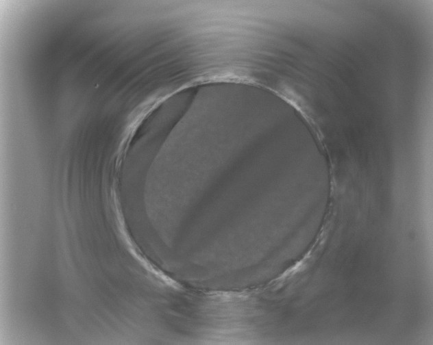 X0000065990193200603242014