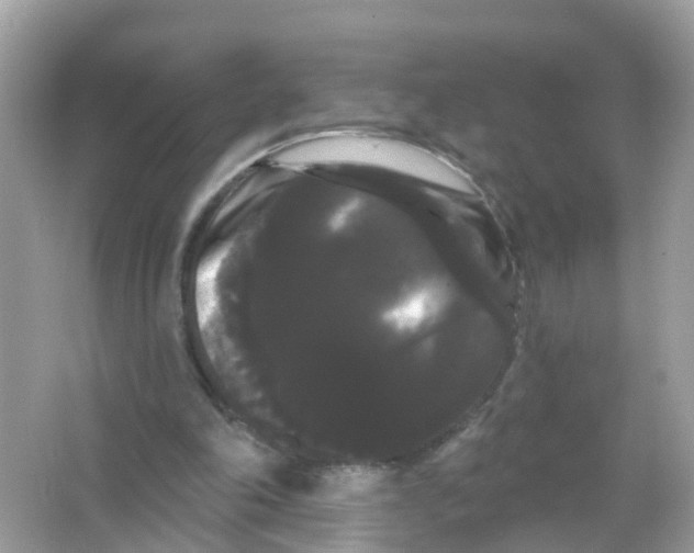 X0000065990198200603242014