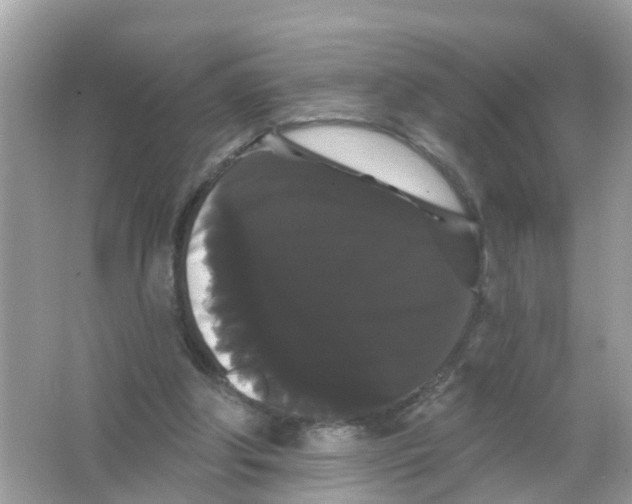 X0000065990202200603242014
