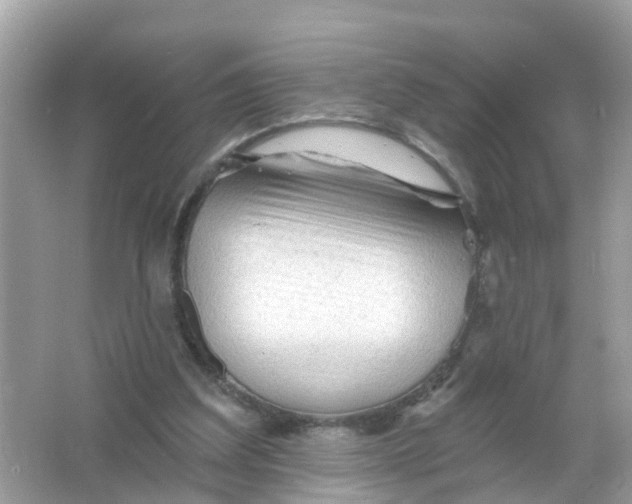 X0000065990203200603242014