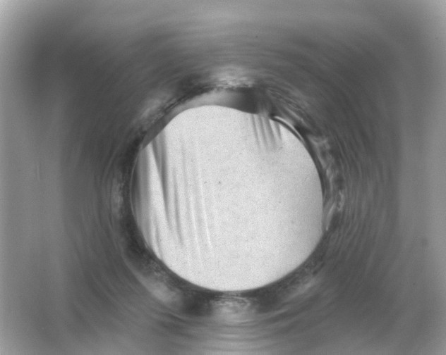 X0000065990215200603242014