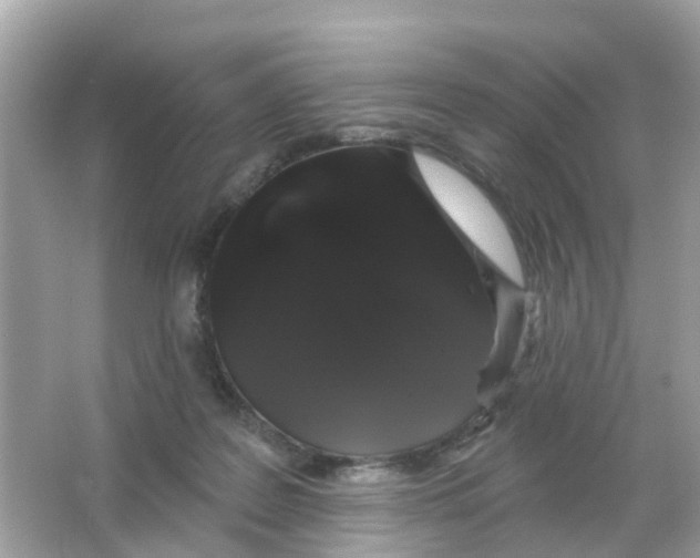 X0000065990219200603242014