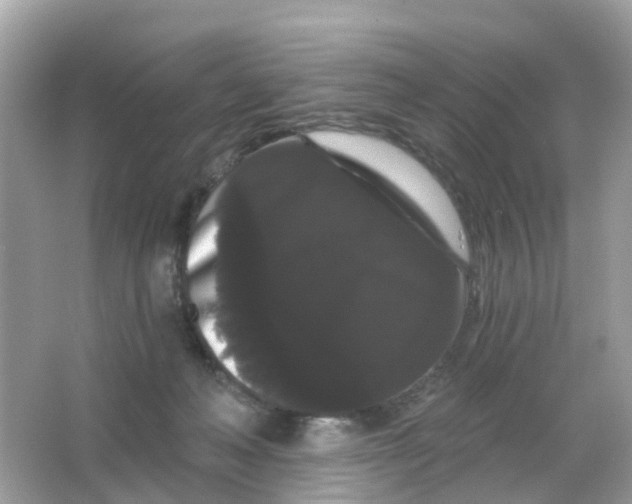 X0000065990222200603242014