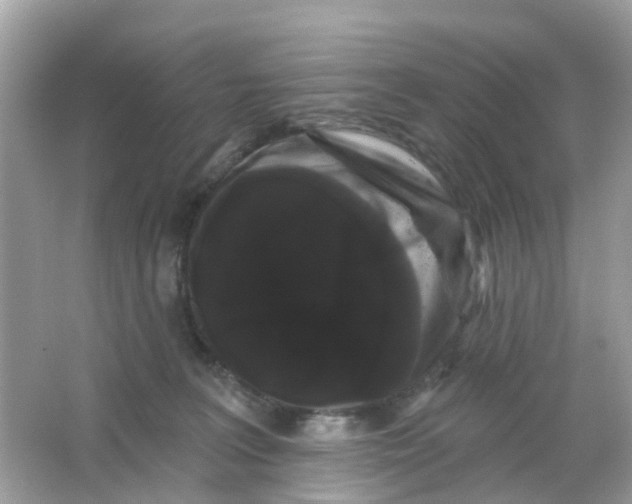 X0000065990227200603242014