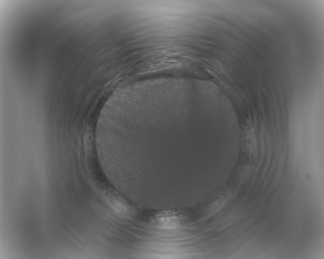 X0000065990228200603242014