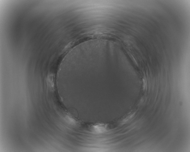X0000065990232200603242014