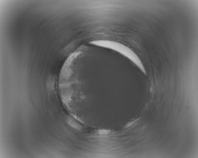 X0000065990233200603242013