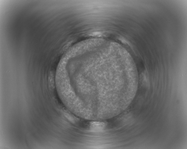 X0000065990234200603242013