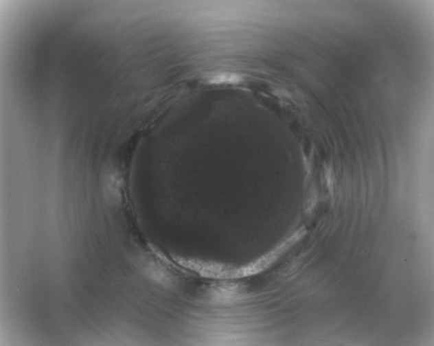 X0000065990235200603242013