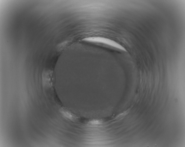 X0000065990237200603242013
