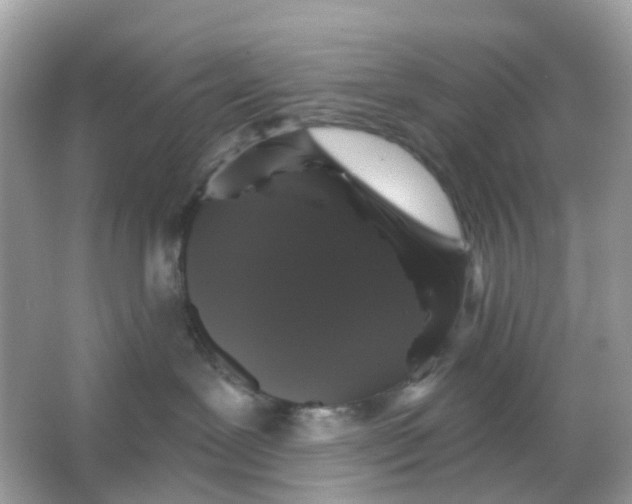 X0000065990239200603242013