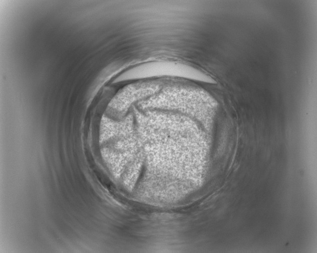 X0000065990242200603242013