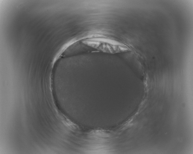 X0000065990244200603242013