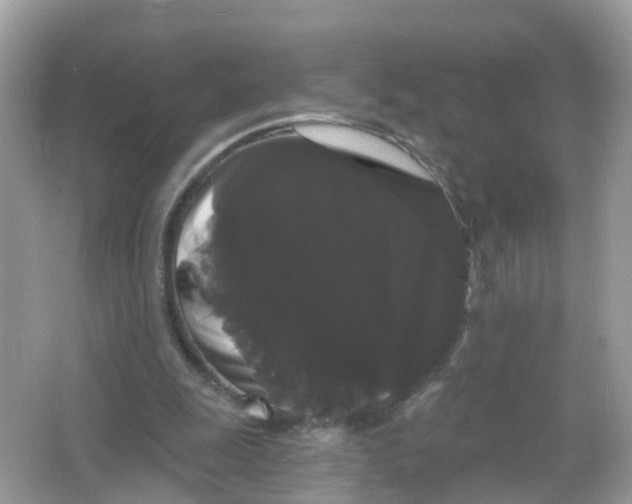 X0000065990247200603242013