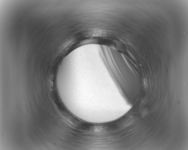 X0000065990264200603242013