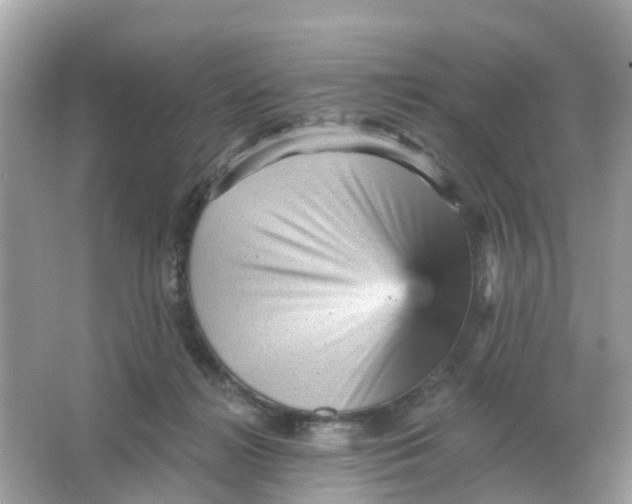 X0000065990268200603242013