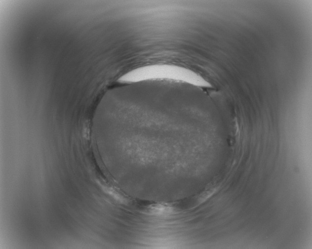 X0000065990284200603242013