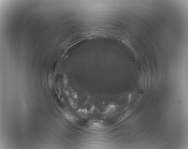 X0000065990285200603242013