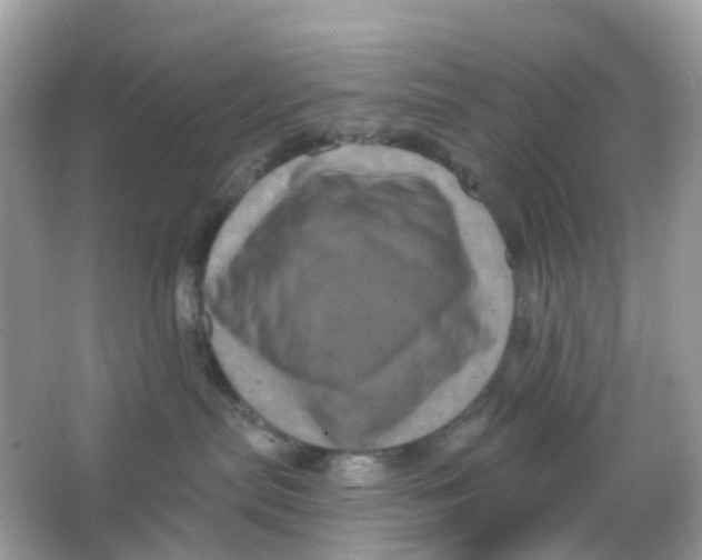 X0000065990287200603242013