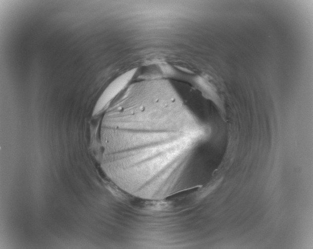 X0000065990288200603242013