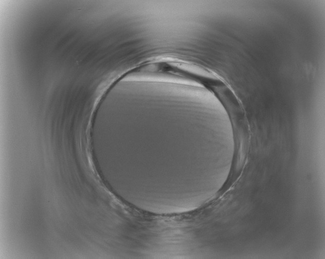 X0000065990289200603242013