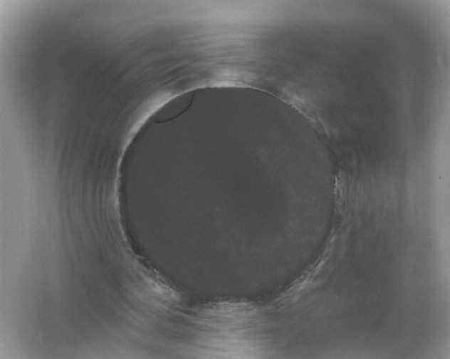 X0000065990292200603242012