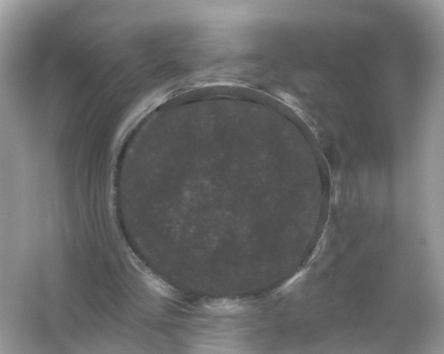 X0000065990293200603242012