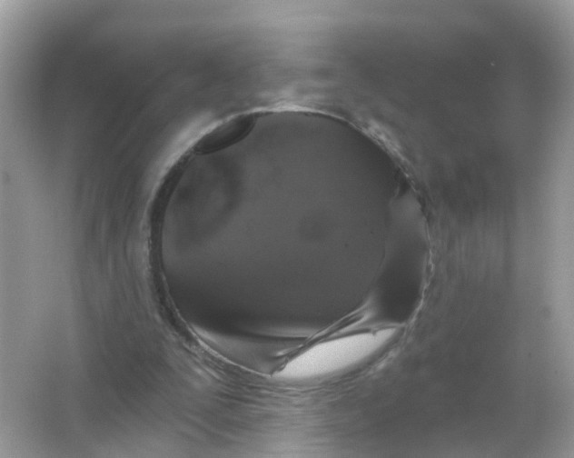 X0000065990295200603242012