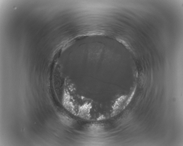 X0000065990303200603242012