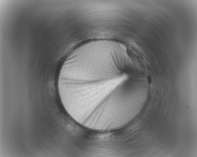 X0000065990306200603242012