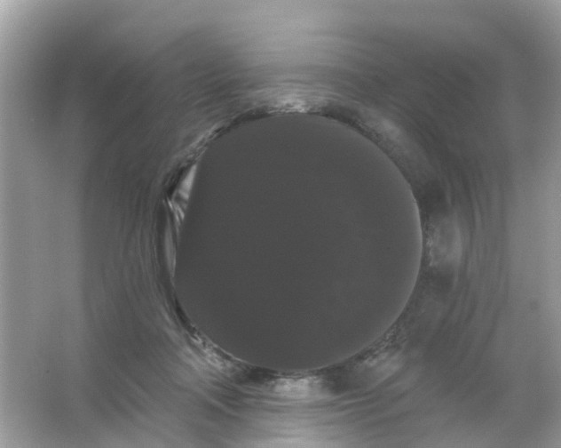 X0000065990314200603242012