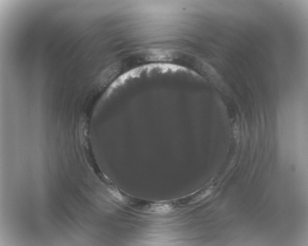 X0000065990322200603242012