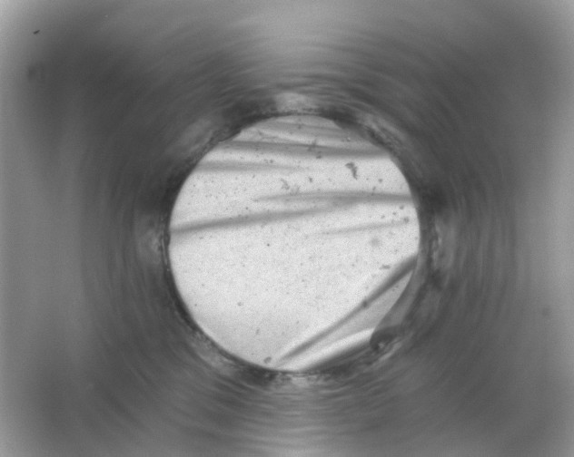 X0000065990329200603242012