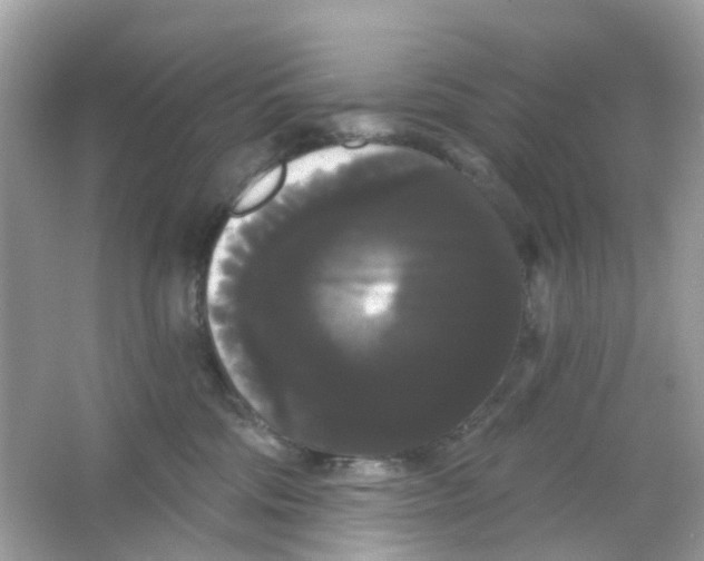 X0000065990330200603242012